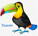 Toucan - Đồng bộ hóa, sao lưu và bảo mật dữ liệu máy tính