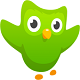 Duolingo cho Android - Học Tiếng Anh miễn phí trên Android